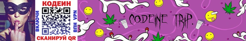 Кодеин Purple Drank  Камызяк 