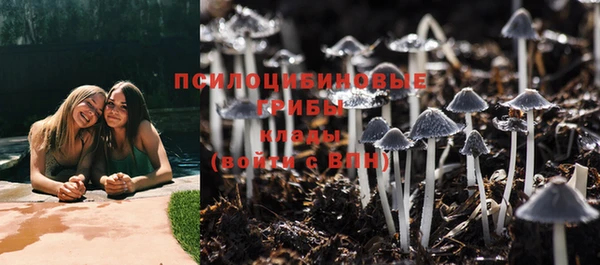 герыч Арсеньев