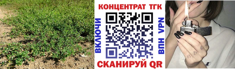 ТГК THC oil  закладка  Камызяк 