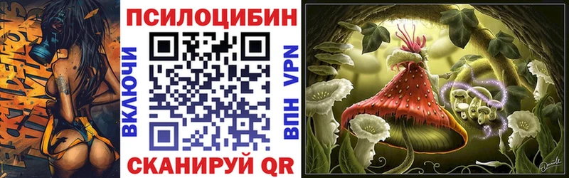 сколько стоит  OMG ТОР  Псилоцибиновые грибы Psilocybine cubensis  Камызяк 